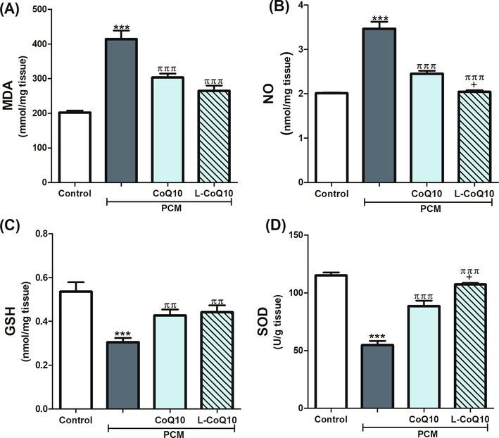 Effects of CoQ10 and L-CoQ10 on the hepatic oxidative stress markers in PCM-induced hepatotoxicity in rats. Notes: Data are presented as mean ± SEM (N = 6). ***P ≤ 0.001 vs control, ππP ≤ 0.01, πππP ≤ 0.001 vs PCM-intoxicated group and + P ≤ 0.05 vs to CoQ10 treated group.