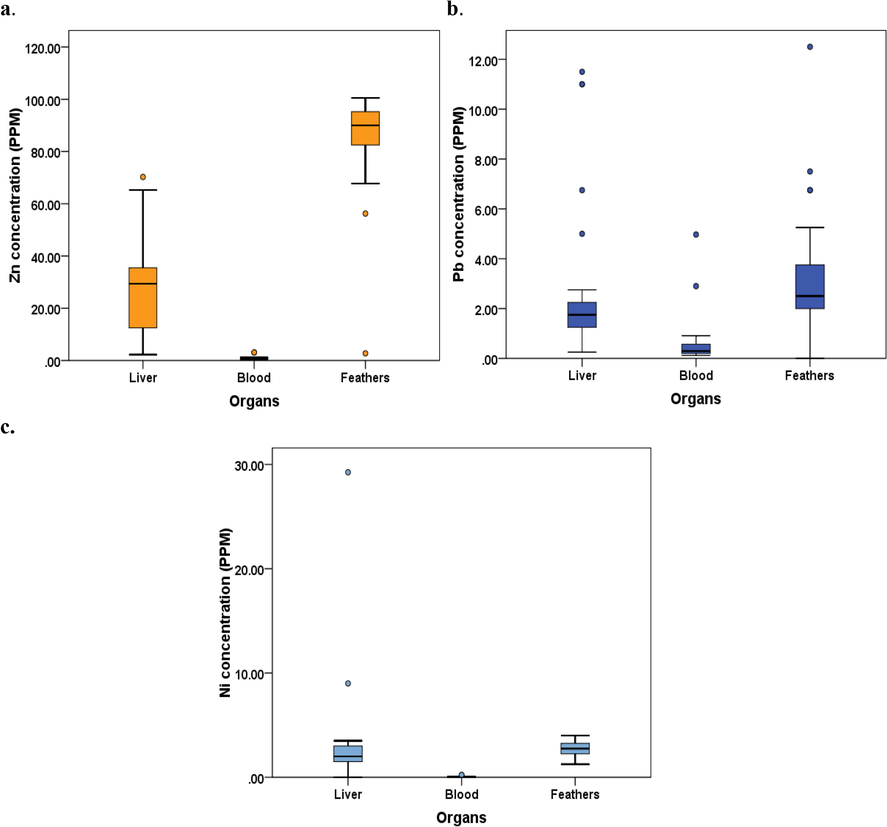 Levels of trace metals observed in different organs of common myna Acridotheres tristis (a) Zn, (b) Pb, (c) Ni.