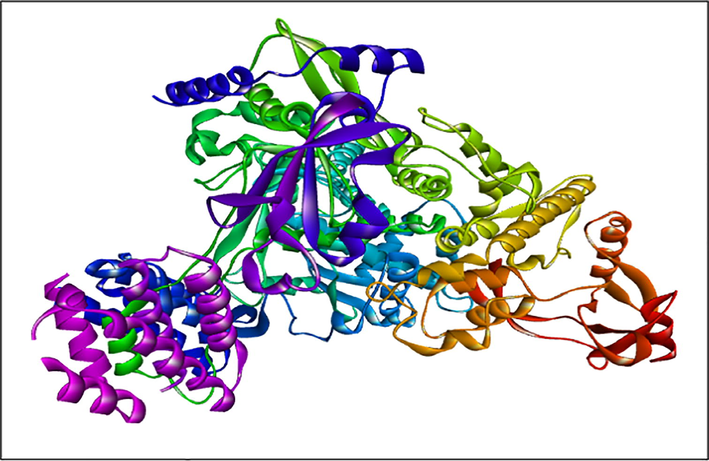 RDRP (7AAP) protein structure.