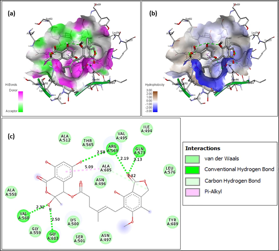 F13459- (a) Hydrogen bond interaction; (b) Hydrophobicity interaction; and (c) 2D interaction.