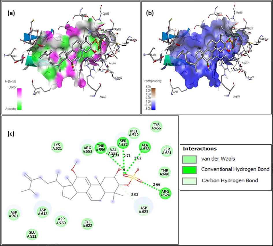 A-108836- (a) Hydrogen bond interaction; (b) Hydrophobicity interaction; and (c) 2D interaction.