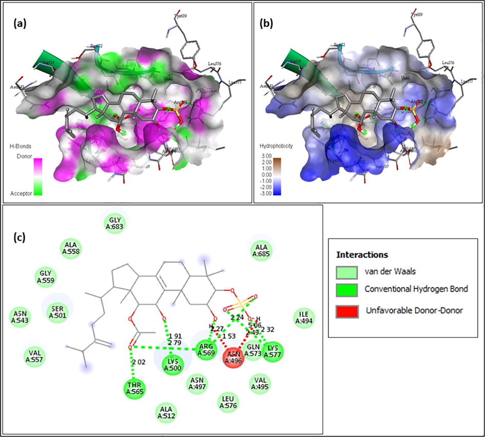 Integracide A (A-108835)- (a) Hydrogen bond interaction; (b) Hydrophobicity interaction; and (c) 2D interaction.