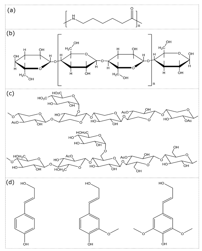 Molecular structure of (a) polyamide 6, and (b)-(d) PSP’s main components. (b) Cellulose, (c) hemicellulose, and (d) main components of lignin.