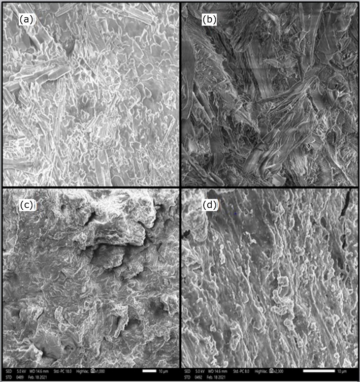 SEM micrographs of (a) PA6, (b) PSP, (c) PSP(10%)/PA6, (d) PSP(20%)/PA6.