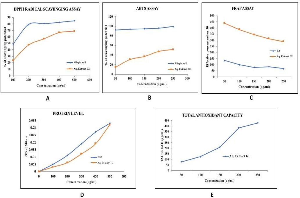 (A–D): In-vitro antioxidant activity of Ganoderma lucidum mycelium powder.