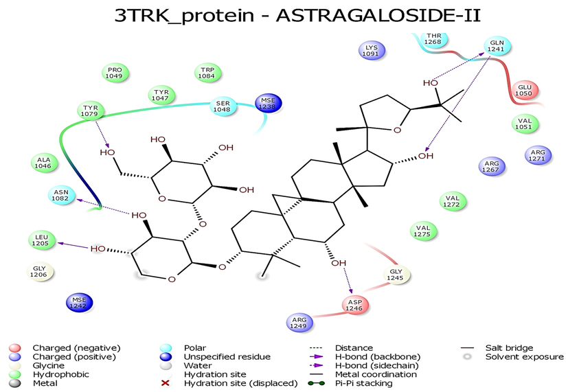 Interaction profile of Astragaloside II with 3TRK protein of Chikungunya virus.