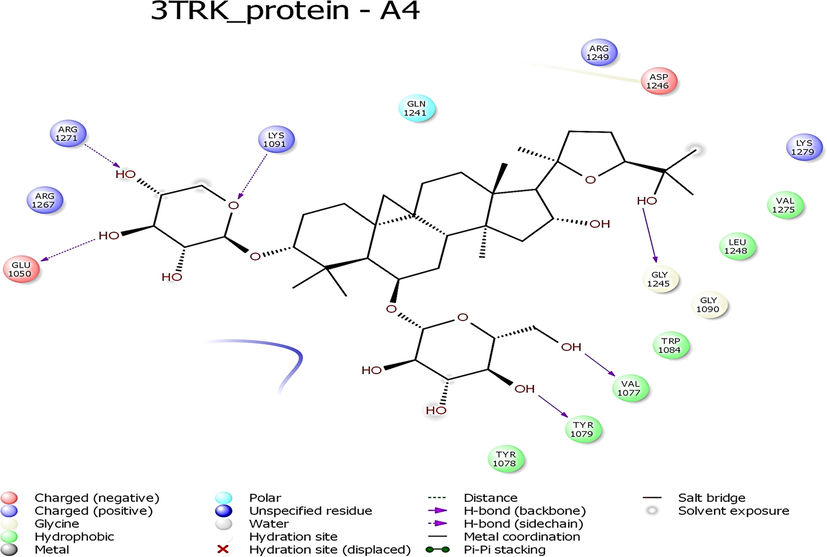 Interaction profile of Astragaloside IV with 3TRK protein of Chikungunya virus.