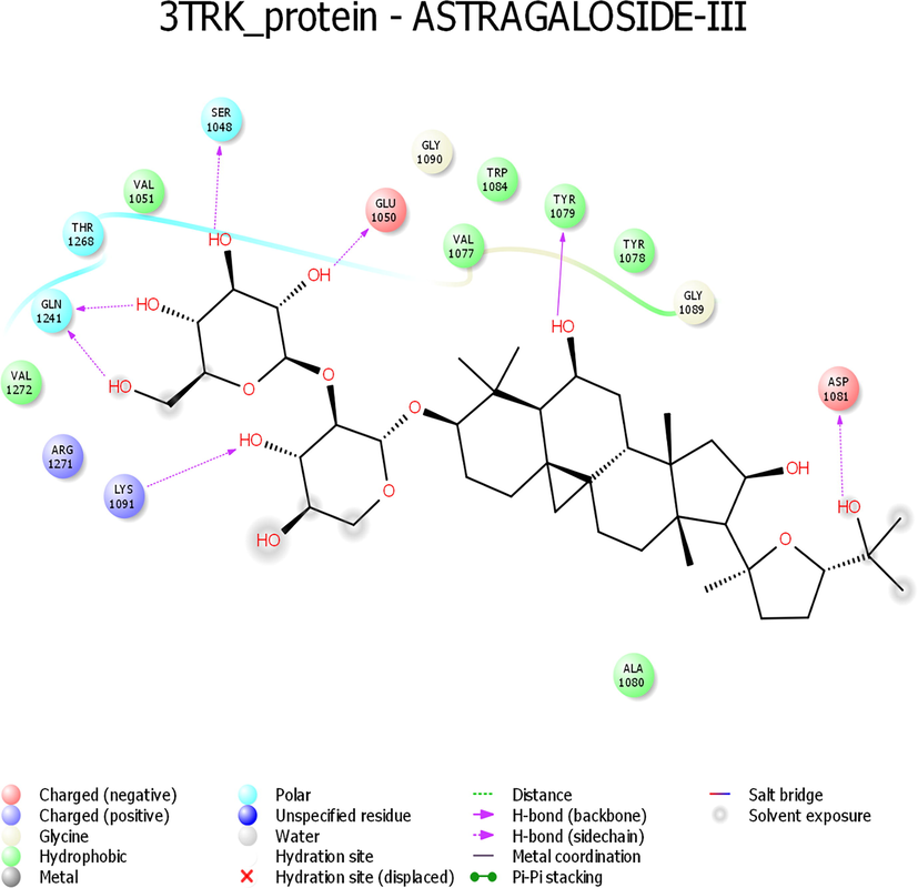 Interaction profile of Astragaloside III with 3TRK protein of Chikungunya virus.