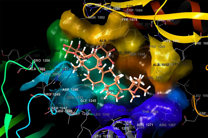 Docking pose of Astragaloside with 3TRK protein target of Chikungunya virus.