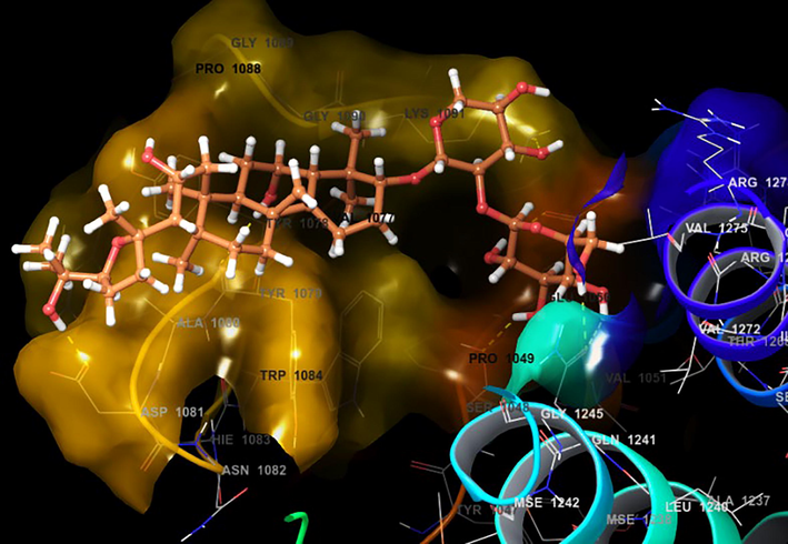 Docking pose of Astragaloside with 3N42 protein target of Chikungunya virus.