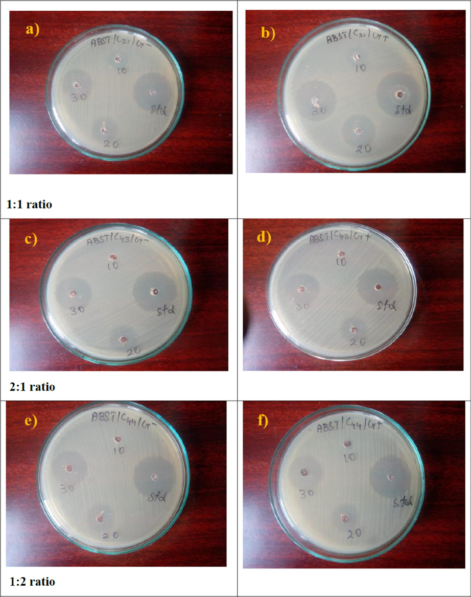 Antibacterial activities of CdO/ZnO nanocomposites (a-b) 1:1 ratio (c-d) 2:1 ratio (e-f) 1:2 ratio.