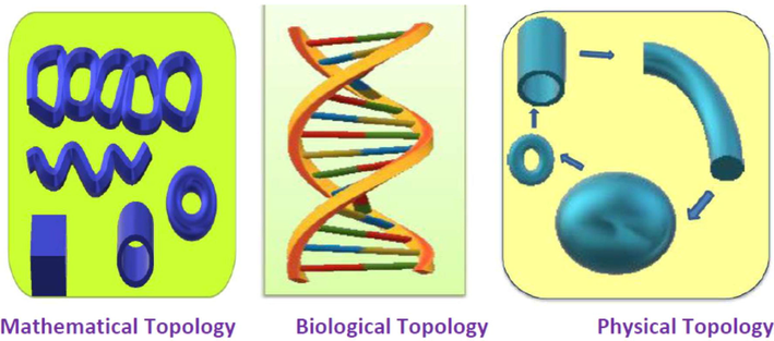 Schematic diagram of Topology.