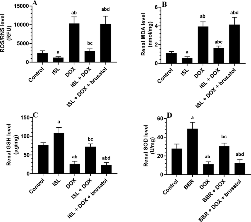 The effect of DOX and ISL on the renal markers of oxidative stress of all experimental groups. Data are given as mean ± SD (n = 6 animals/group). a: vs control rats; b: vs ISL-treated rats; c: vs DOX-treated rats, and d: vs ISL + DOX-treated rats.