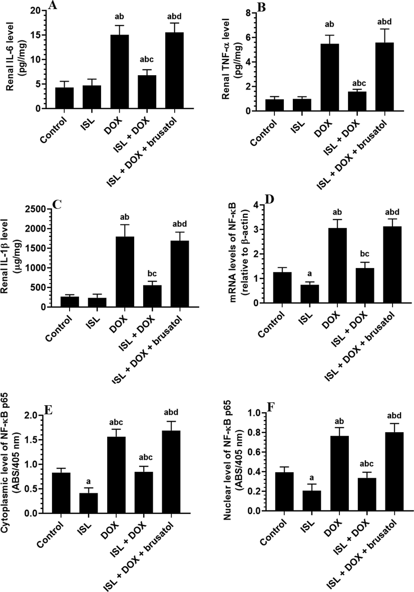 The effect of ISL and DOX on renal levels of the inflammation-related markers of all experimental groups. Data are given as mean ± SD (n = 6 animals/group). a: vs control rats; b: vs ISL-treated rats; c: vs DOX-treated rats, and d: vs ISL + DOX-treated rats. MDA: malondialdehyde; SOD: superoxide dismutase; GSH: total glutathione; and ROS: reactive oxygen species.