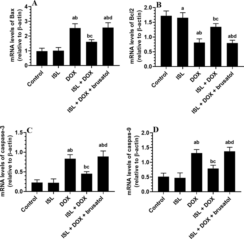 The effect of ISL and DOX on renal mRNA levels of apoptotic/antiapoptotic markers of all experimental groups mRNA of some apoptotic and anti-apoptotic markers in the kidneys of all groups of rats. Data are given as mean ± SD (n = 6 animals/group). a: vs control rats; b: vs ISL-treated rats; c: vs DOX-treated rats, and d: vs ISL + DOX-treated rats.