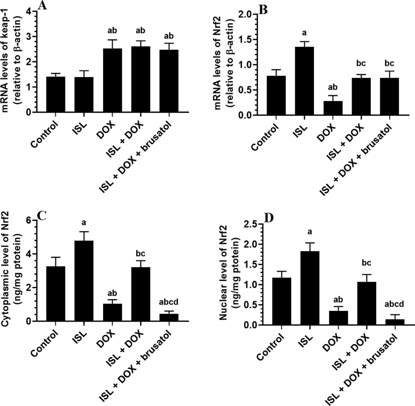 The effect of DOX and ISL on renal Nrf2/keap1 pathway of all experimental groups. Data are given as mean ± SD (n = 6 animals/group). a: vs control rats; b: vs ISL-treated rats; c: vs DOX-treated rats, and d: vs ISL + DOX-treated rats.