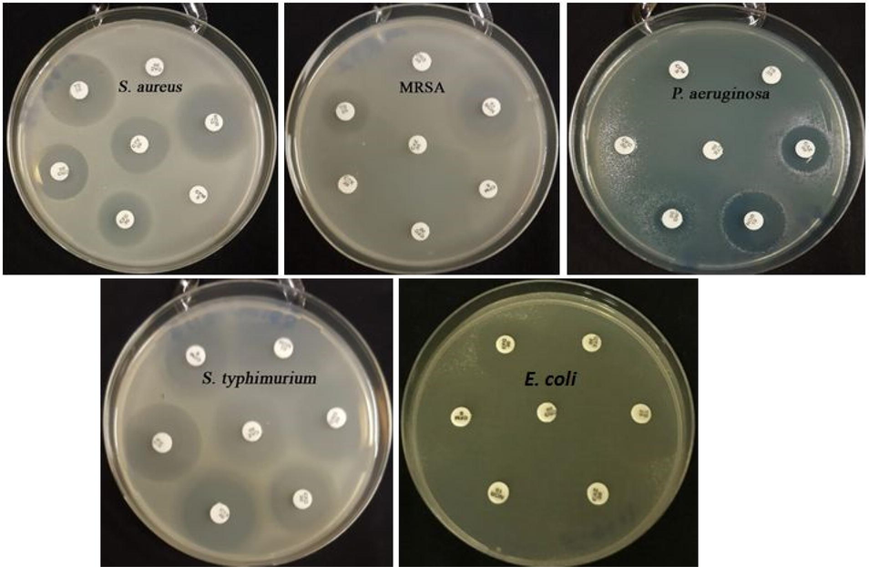 Antibacterial resistance profile of different food poisoning strains to the concerned standard antibiotics.