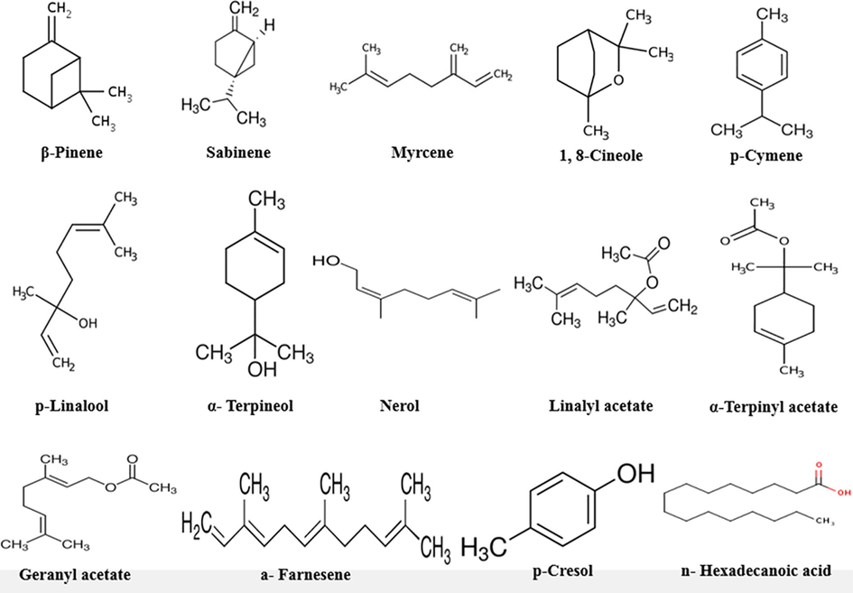 Phytochemical active components of Elettaria cardamomum ethanolic extract.