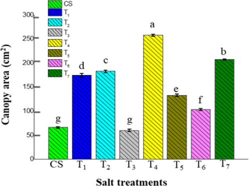 The impact of various salt treatments on the canopy area of juvenile stage ice plants (60-days mature plants). The data indicate the means ± SD (n = 3). Different letters above bars indicate significant differences at p < 0.05.