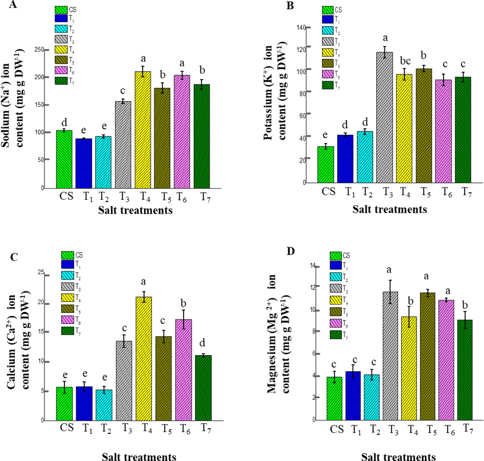 The effect of different salt treatments on cation content of ice plant leaves in the adult stage (120 days mature plant). Data indicate the means ± SD (n = 3). Different letters above bars indicate significant differences at p < 0.05. (A) Na+, (B) K+, (C) Ca2+, (D) Mg2+ indicated the ion content measurement based on dry weight, respectively.