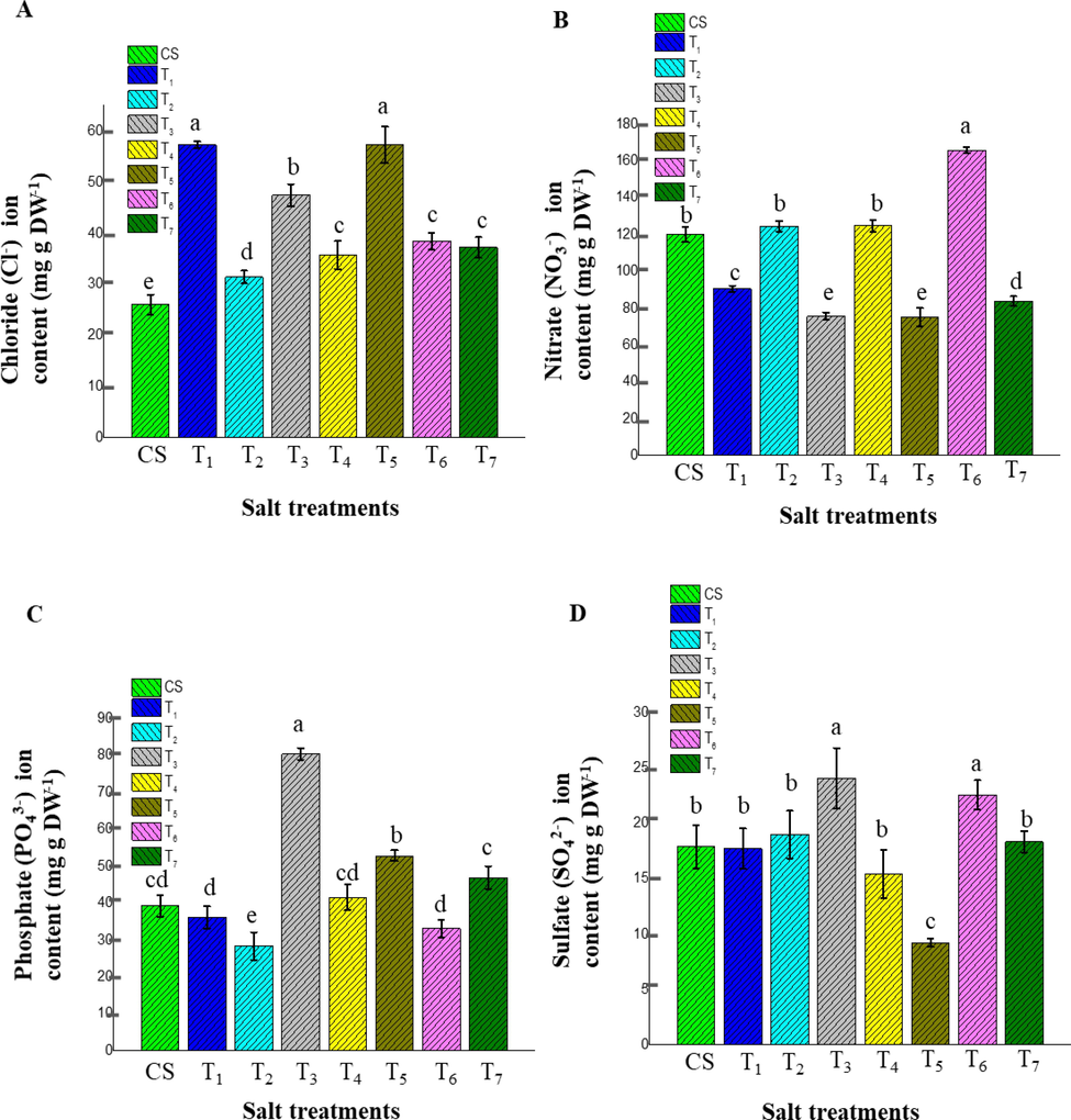 The effect of different salt treatments on the anion content of adult stage ice plant leaves (120 days old plant). The data indicate the means ± SD (n = 3). Different letters above bars indicate significant differences at p < 0.05. (A) Cl−, (B) NO3–, (C) PO43−, (D) SO42− denoted the ion content measurement based on dry weight, respectively.