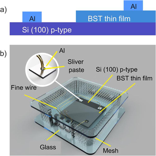 Schematic illustration of (a) cross section of the BST thin film and (b) the BST thin film in the transparent storage.