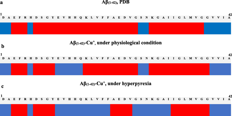 (a) The Aβ(1-42) structure; (b) Aβ(1-42)-Cu+ complex conditioned by the dynamic parameters (heat time of 200 ps at 310.15 K and 1.466 kPa); (c) Aβ(1-42)-Cu+ complex conditioned by the dynamic parameters (heat time of 200 ps at 314.15 K and 2.666 kPa). The system was monitored with a time step of 0.0005 ps, where red represents the α-helix motif and blue, β-sheet.