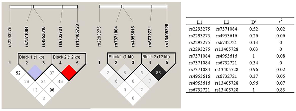 Linkage disequilibrium (LD) map and haplotype block map for all the SNPs of the LHCGR gene. The LHCGR SNPs were genotyped by Haploview.