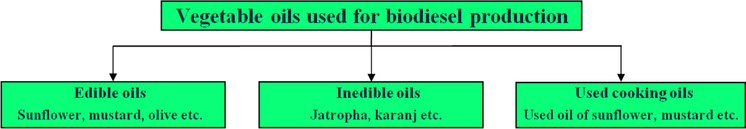 Different types of vegetable oils used for biodiesel production.