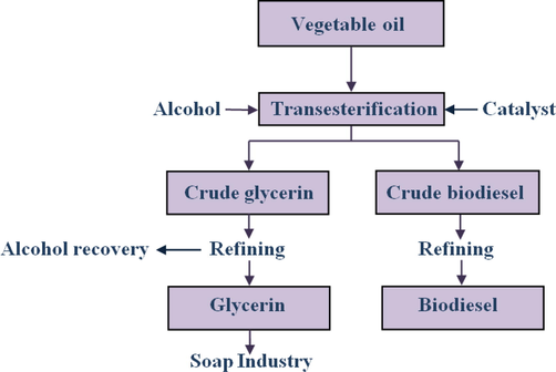 Process of the biodiesel production process.