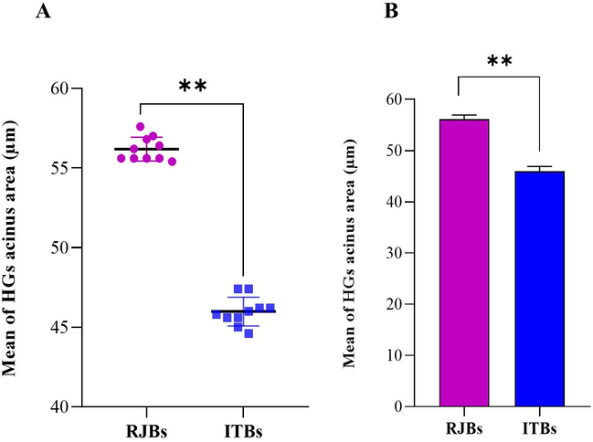 (A) Mean diameter (µm) of newly emerged bees of hypopharyngeal glands (HGs) acinus of the experimental colonies. (B) The HGs acini mean diameter of newly emerged bees.