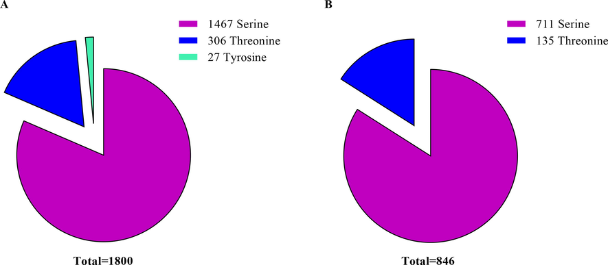 The relative frequencies of serine, threonine, and tyrosine within all phosphosites in the hypopharyngeal glands (HGs) of newly emerged honey bees.