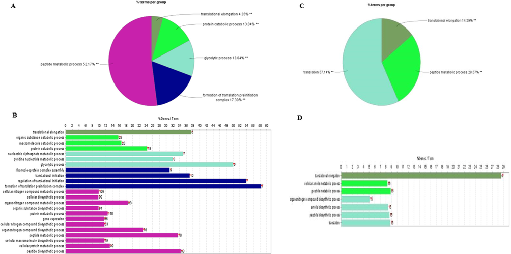 Enrichment of functional GO term of the phosphoproteins identified in the HG of newly emerged bees. Gene percentage linked to specific phrases is shown on the bars.