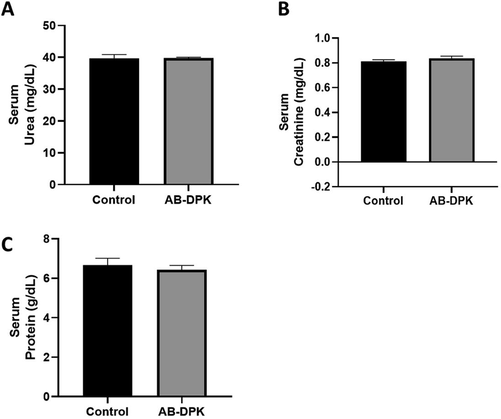 Kidney function assessment after exposure to extract of AB-DPK: Levels of (A) urea, (B) creatinine and (C) serum protein in control unexposed and AB-DPK exposed rats (n = 10) after 48 h exposure. Data is presented as mean ± SD.