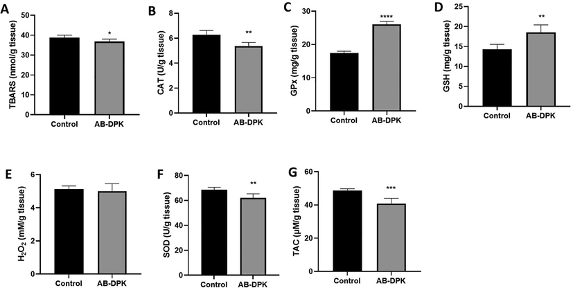 Oxidative stress assessment in RAT liver post-exposure to extract of AB-DPK. Levels of (A) TBARS, (B) CAT, (C) GPx, (D) GSH, (E) H2O2, (F) SOD and (G) TAC were quantified in homogenized livers of exposed and control rats (n = 10). Data is presented as mean ± SD, *p ≤ 0.05, **p ≤ 0.01, ***p ≤ 0.001, ****p ≤ 0.0001.