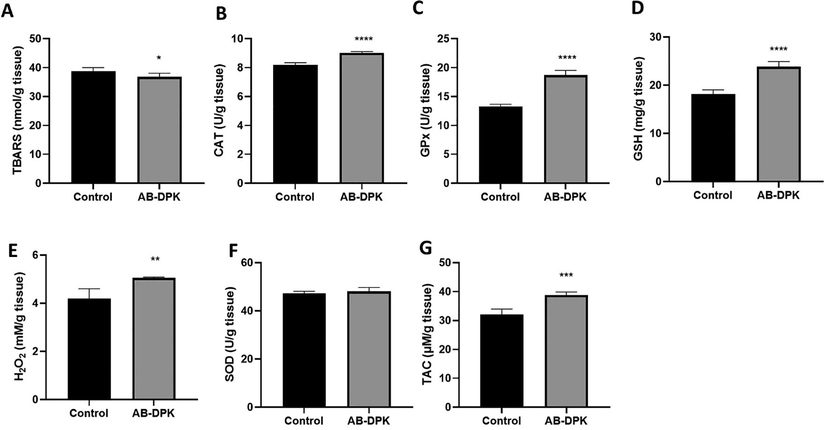 Oxidative stress assessment in RAT kidney post-exposure to extract of AB-DPK. Levels of (A) TBARS, (B) CAT, (C) GPx, (D) GSH, (E) H2O2, (F) SOD and (G) TAC were quantified in homogenized livers of exposed and control rats (n = 10). Data is presented as mean ± SD, *p ≤ 0.05, **p ≤ 0.01, ***p ≤ 0.001, ****p ≤ 0.0001.