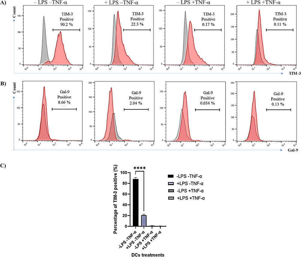 Expression of TIM-3 and Gal-9 on LPS- and/or TNF-α- treated DCs. (A) Shows representative experiment on the expression of TIM-3 on untreated DCs, +LPS, +TNF-α and +LPS and +TNF-α. (B) Represents the expression of Gal-9 on the same untreated and LPS and/or TNF-α DCs. Red histograms show stained cells, whereas grey histograms represent unstained control. Data are representative of 3 separate experiments. (C) Shows the combined results of the three experiments. Statistical analysis using paired t-test to compare untreated DCs with LPS-treated DCs. **** indicates significant levels of P value <0.0001.