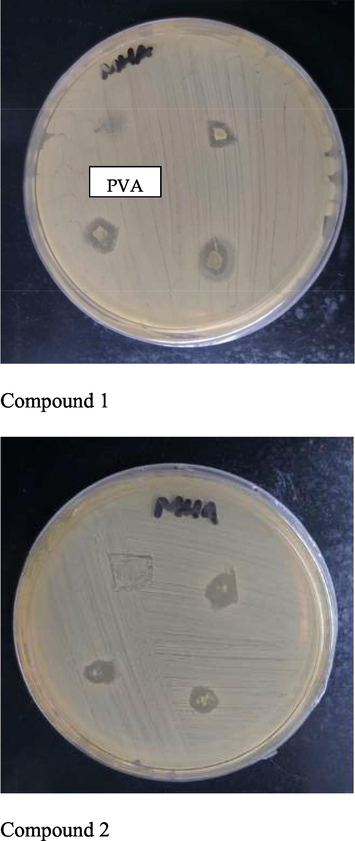 Antibacterial testing with pure PVA nanofiber as control 12 and 5 wt% CD loaded nanofiber in triplicate.