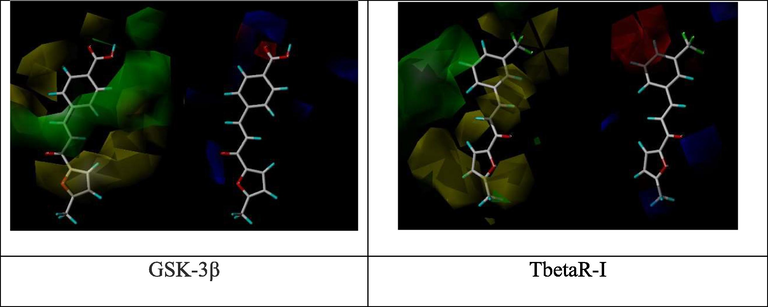 Molecular modeling and QSAR study of curcumin derivatives 8 based on their wound healing docking scores.