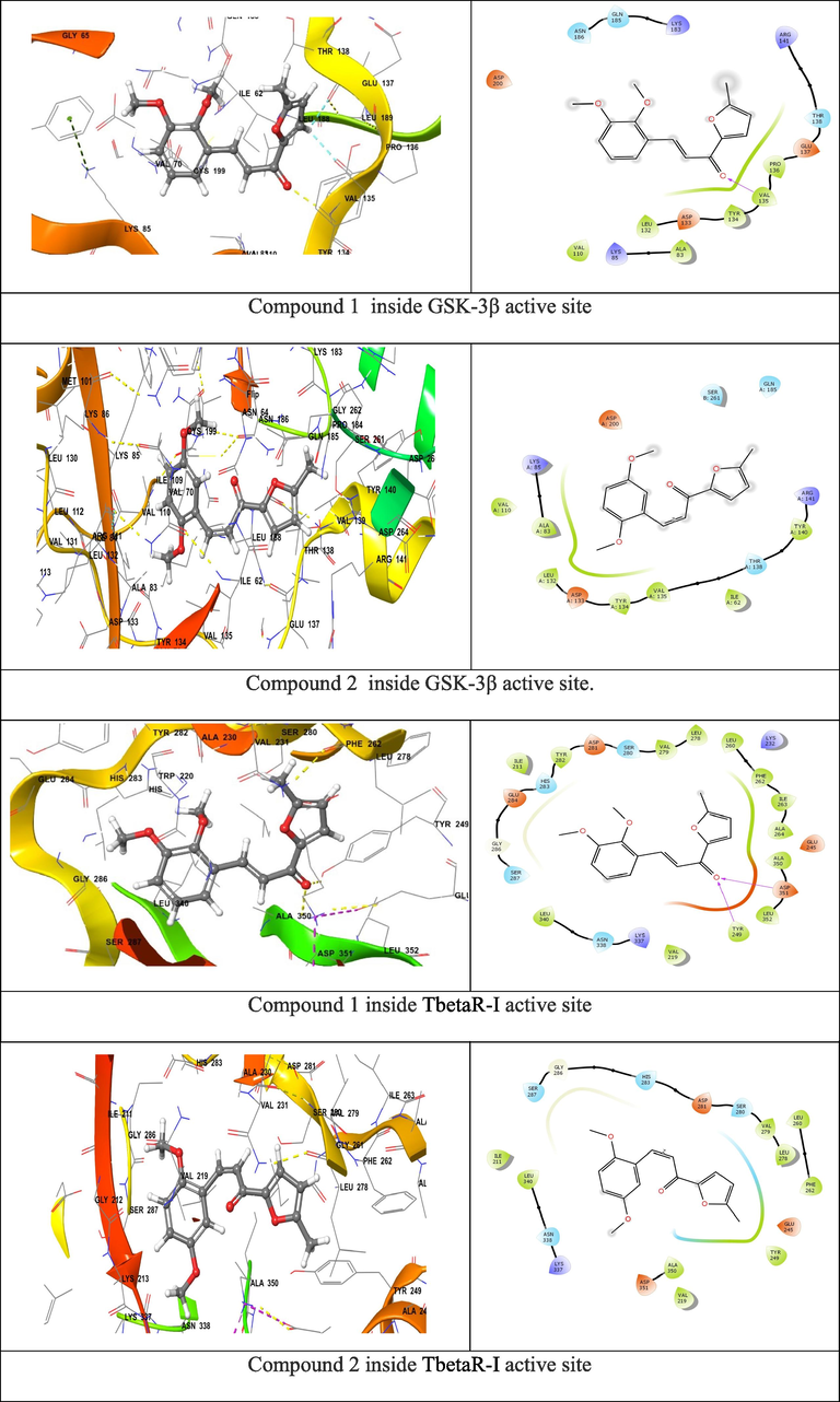 Compounds 1&2 binding surface and ligand interaction diagram 9.