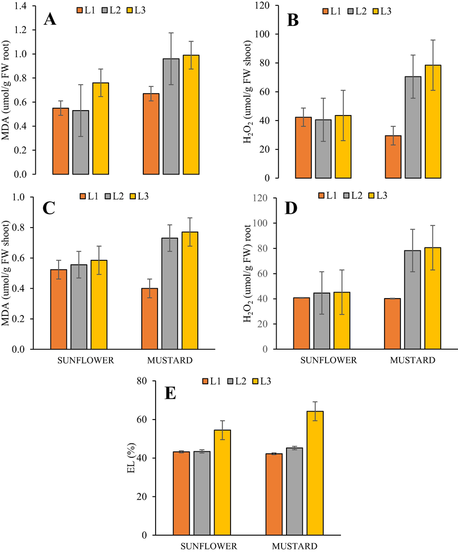 (A-E). Effect of cypermethrin on H. annuus and B. juncea under Cypermethrin stress (L1) control, (L2) 20 mg/kg and (L3) 40 mg/kg.