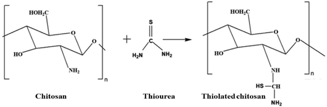 Schematic representation for the formation of TC.