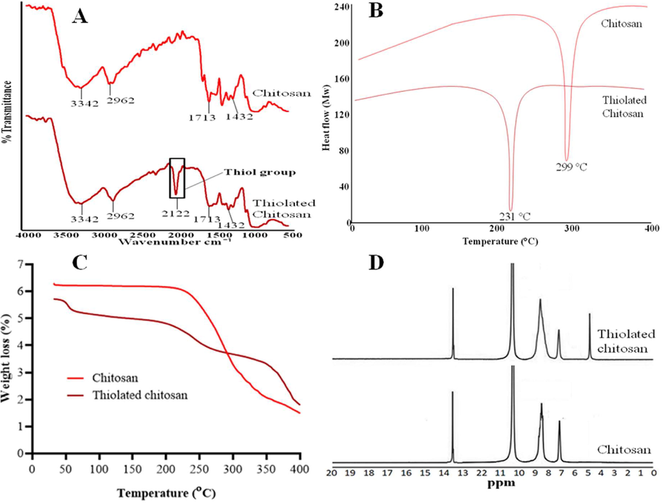 FTIR of TC showed the peak of thiol group at 2122 cm−1 confirmed the thiolation (A), DSC of CS and TC showed endothermic peaks at 299 °C and 231 °C. The endothermic peak of TC confirmed the thiolation due the presence of fragile group (B), TGA of TC showed rapid weight loss as compared to CS (C) and 1H NMR confirmed the thiolation of CS due to occurrence of peak of thiol group at 4.99 ppm (D).