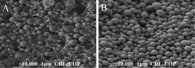 SEM images of (A) drug unloaded and (B) drug loaded nanoparticles of TC.