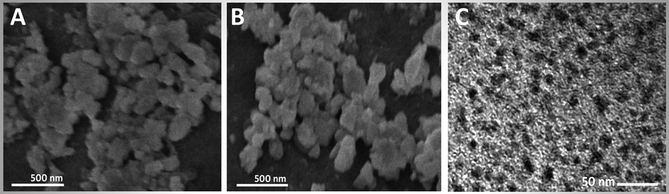 Electron microscopy imaging of produced nanomaterials including the SEM of insect chitosan/gum Arabic nanocomposite (A), their loaded particles with eugenol (B), and the TEM imaging of eugenol-mediated SeNPs (C).