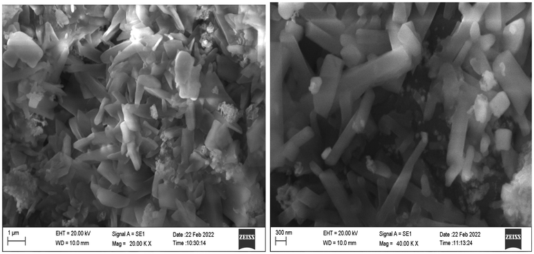 SEM images of green prepared Ch-Pt-Ag NCs.