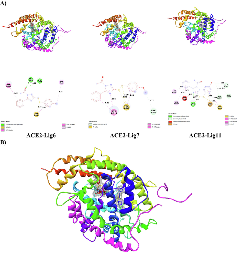 (A) Docked conformation poses of ligands 6, 7 and 11 inside the ACE2 receptor pocket and their two-dimensional visualization; (B) superimposed view of ligands 6, 7 and 11 inside the ACE2 receptor pocket.