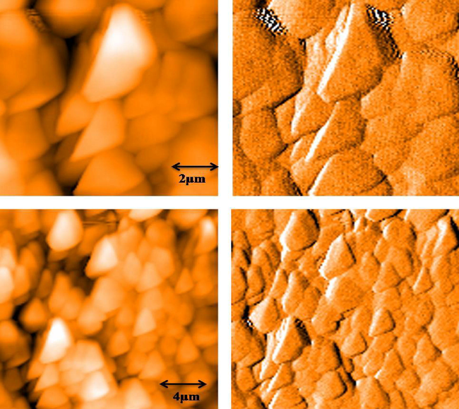 AFM images of green synthesized gold nanoparticles.