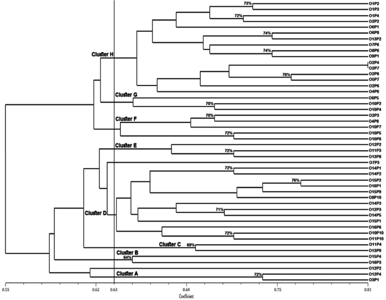 Dendrogram showing a genotypic relationship among phalsa genotypes based on ISSR markers.