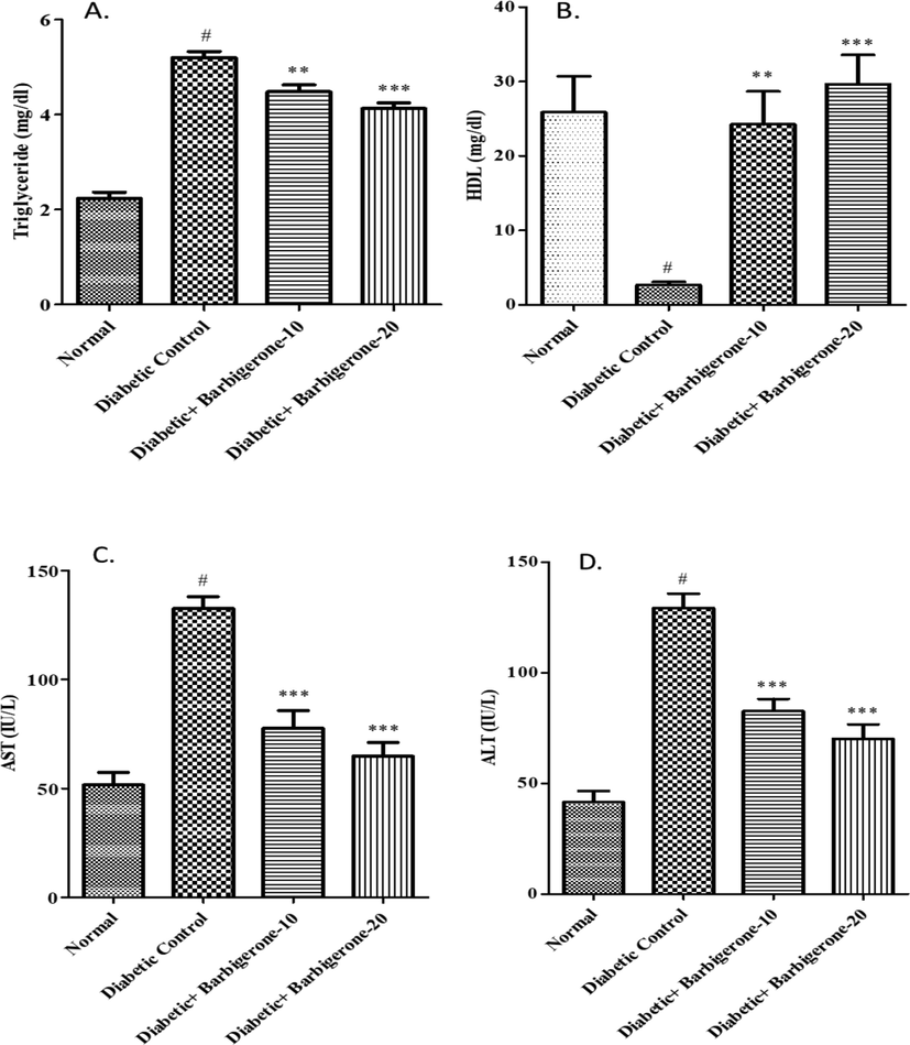 Effect of barbigerone on lipid profile and liver enzymes. A. Triglycerides (TG), B. HDL, C. AST, D. ALT. All values are expressed as mean ± SEM. Correlation among the groups was done using Tukey’s test by one- way ANOVA. P value < 0.01, 0.001 was expressed as **, *** as compared to diabetic control group. # Signifies comparison to normal control group (P < 0.001).